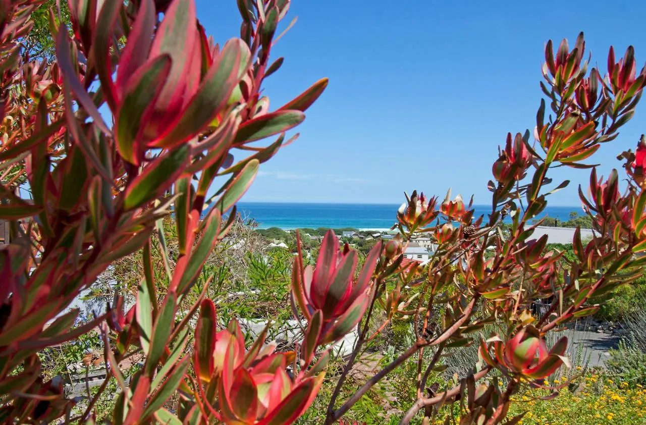Apartamento 55 On Main Guesthouse And Spa Fish Hoek